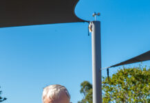 Significantly increased Little Corella flocks invade mainland towns of Goolwa, Strathalbyn
