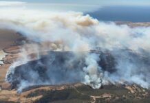 Deep Creek Fire closes Main South Road, ferries cancelled