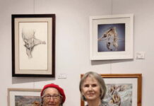 ‘Lost in the foliage’ exhibition set to open at KI Gallery