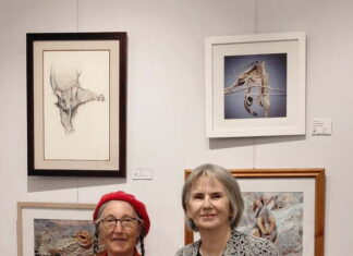 ‘Lost in the foliage’ exhibition set to open at KI Gallery