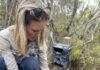 Women in science driving wildlife recovery after KI bushfires