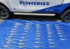 Man fined following illegal King George whiting catch at West Beach