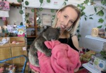 Kangaroo Island Veterinary Clinic to receive wildlife rescue boost