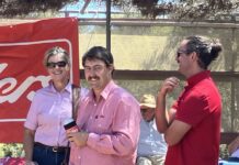 Punters at SeaLink Kangaroo Island Racing Carnival on Thursday: PHOTOS