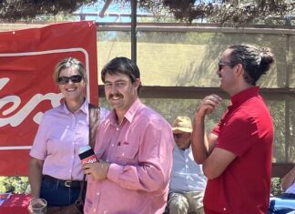 Punters at SeaLink Kangaroo Island Racing Carnival on Thursday: PHOTOS