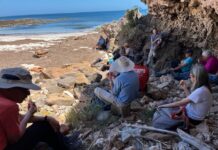 KI Walking Club tackles North Cape on first walk for 2026