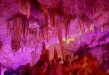 Who discovered Kelly Hill Caves? Find out at open day