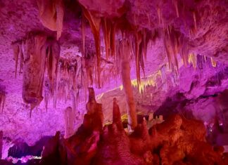 Who discovered Kelly Hill Caves?