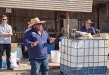 Crop grower, sheep producer backs efficiency to cut costs – not output