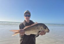 SE Fishing: Anglers on a roll this summer