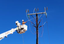 Sharkie questions state government on power supply interruptions