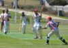 Hog Bay, Saints into KI cricket grand finals