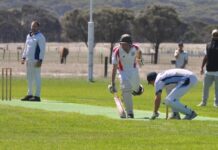 Trethewey leads Parndana to its prelim final win