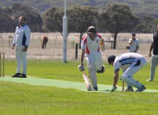 Trethewey leads Parndana to its prelim final win