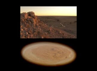 KI cinematographer David Forman shortlisted for 2026 Waterhouse Prize