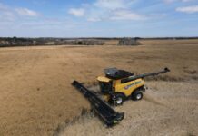 Kangaroo Island crop farmers well placed in drying climate