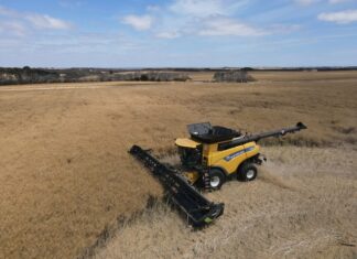 Kangaroo Island crop farmers well placed in drying climate