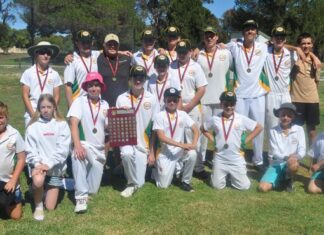Razorbacks, Panthers win KI cricket grand finals