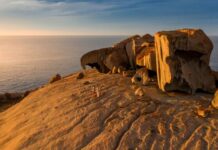 Alert but not alarmed: Resident survey highlights shifting tourism views