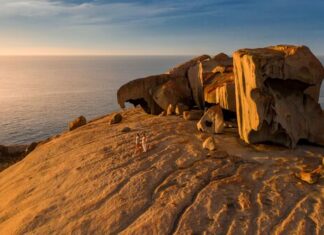 Alert but not alarmed: Resident survey highlights shifting tourism views