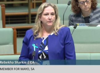 Sharkie wants to suspend fuel excise, won’t encourage EV uptake