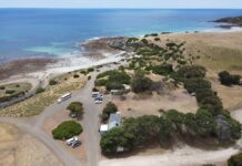 Letter and response: Stokes Bay toilet and barbecue contracts