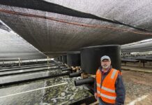 Closure of Yumbah abalone farm major blow to KI jobs, industry