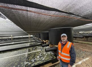 Closure of Yumbah abalone farm major blow to KI jobs, industry