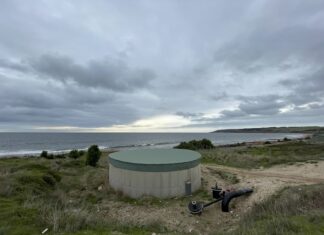 Extra support needed for Yumbah workers, aquaculture sector: Sharkie