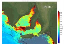 Lower Karenia levels detected off KI, sea surface temps cooling