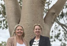 State government commits $800,000 to eliminating KI’s feral cats