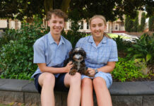 Boarding house wellbeing dogs at Sacred Heart College