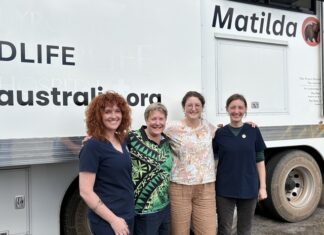 ‘Matilda’ the mobile wildlife hospital spends a week on KI