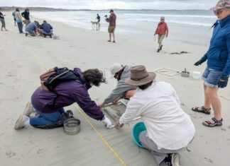 Volunteers sample KI’s microplastic hot spot at Vivonne Bay