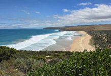 Elevated levels of Karenia algae reduced at Seal Bay in latest tests