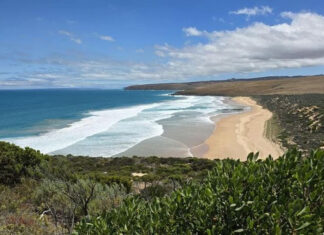 Elevated levels of Karenia algae reduced at Seal Bay in latest tests