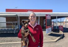 Finance has come to the Elders Kangaroo Island branch