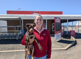 Finance has come to the Elders Kangaroo Island branch