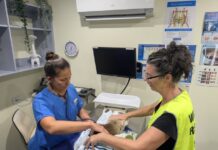 KI Veterinary Clinic welcomes wildlife rescue funding assistance