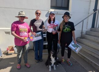 Jenni Mitton wins seat of Mawson, Mike Holden tops polls on KI