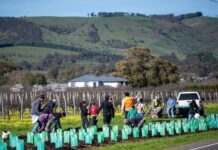 Nominate environment hero
