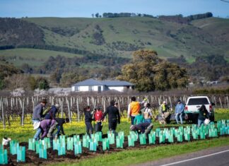 Nominate environment hero