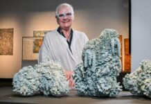 Waterhouse science art prize winner inspired by algal bloom