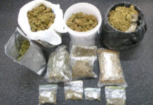 Kingscote woman arrested over alleged cannabis find