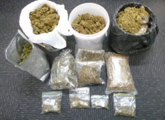 Kingscote woman arrested over alleged cannabis find