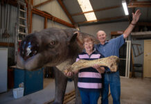 Yankalilla museum opens doors to public