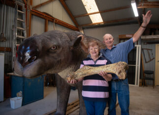 Yankalilla museum opens doors to public