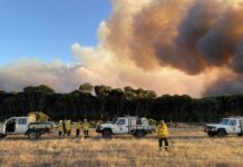 National Parks pleased with 500-hectare hazard reduction burn at MacGillivray