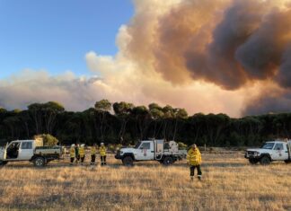 National Parks pleased with 500-hectare hazard reduction burn at MacGillivray