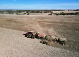 Grain producers raise alarm on diesel, fertiliser supply and price
